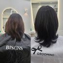 쪼꼬의 하루 그루밍샵 | 그루밍헤어 방문 후기 경산 압량 미용실(고양이와 힐링한 하루)