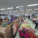광주농업협동조합 | 매월동 화훼단지ㅣ광주 꽃시장 셀프 웨딩부케 후기
