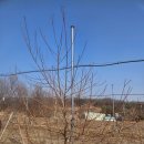 창원농장2 이미지