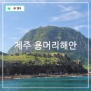 안덕면 화순컴퓨터세탁소 앞 | 제주 산방산 해변 제주도 용머리해안 관람시간 경이로운 풍경