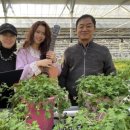농업회사법인주식회사강이