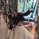 산호동202 | 마산 산호동 미용실 추천 지니헤어스파 레이어드 CS컬 복구펌 창원 미용실 정착 대성공