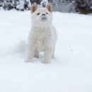 OK포인트마트 이미지