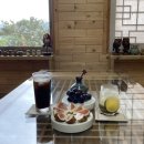 달빛미소 이미지