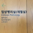남성수지 | e보건소 용인 난임 병원 수지마리아의원 산전 검사 후기 검사비 총정리(ft.예약방법, 주차)