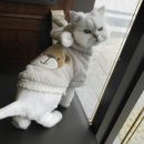 루나동물병원 이미지