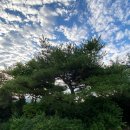 초심산방 | 초심산방 : 경주 한옥 스테이 인증 숙소