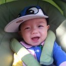 대부도 해바라기 펜션 이미지