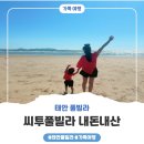 태안씨투풀빌라