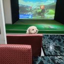 타운비전골프존 이미지