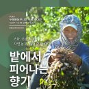 피어나는 생명 | [두물뭍농부시장 전시 소식] 밭에서 피어나는 향기 오프닝 후기