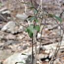 개산초등학교 이미지