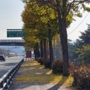 전막~강북교차로 이미지