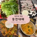 동천대패