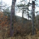 개천사 부도군 이미지