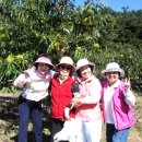 추억농장 이미지