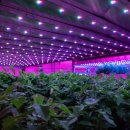 이은희 농장 이미지