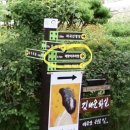마국산로 티스토리