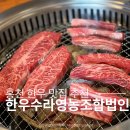 해도지영농조합법인 | 홍천 한우 맛집 홍천한우수라영농조합법인 한우모듬 후기
