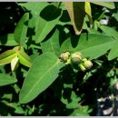 해찬솔농장 이미지