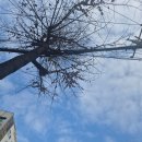 서부여성회관(1) | 인천시 서부여성회관, 2026년 제1기 사회교육프로그램 수강생 모집