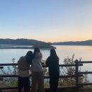 맘모스찜닭 이미지