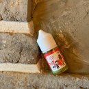 이슬전자 이미지