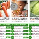 채수면 농장 네이버블로그