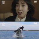 영일횟집 - 포항시 북구 대곡로 55-25 | 영일횟집