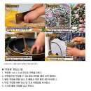 대박야채