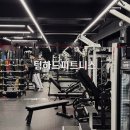 팀하드 피티 이미지