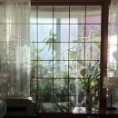 베란다(VERANDA)
