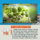 씨앤쯔