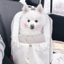 보라애견 | 강아지 백팩 리카리카 티코어 이동가방 애견 카시트 6kg 후기