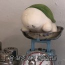 흥도식당 - 송파구 마천로 79 | 흥도식당