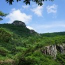 구만산(九萬山 785m)/경남 밀양시 이미지