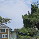 더 조이펜션 이미지