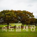 을숙도 철새공원 이미지