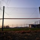 고양대덕야구장 이미지