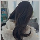 당산미용실 스타일헤어 영등포구청점에서 만난 새로운 헤어스타일 만족 후기