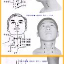 내일의향기