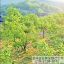 청해농원 이미지