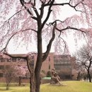 덕성식품 이미지