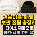겨울이불·패딩 보관 꿀팁 총정리! 다이소 제품으로 공간·냄새 고민 끝