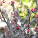 홍도어린이집 이미지