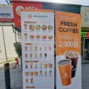 메가후르츠보령