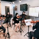 현악 앙상블(바이올린) 이미지