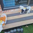 솔마루 민박 이미지