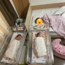 큰보람약국 | 보람병원 조리원 (12박 13박) 만실대기, 면회, 수유콜, 모자동실 장단점 등 솔직후기 2탄