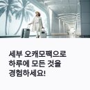 하루 | 세부 오캐모팩 완전정복: 고래상어·캐녀닝·모알보알 하루 코스 후기